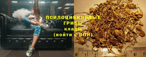 винт Гусиноозёрск