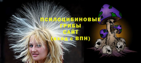 дурь Горно-Алтайск
