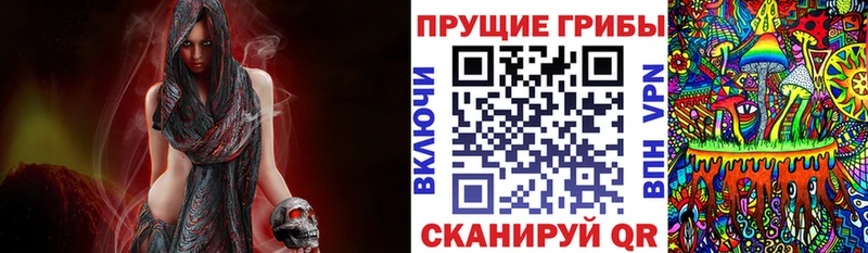 Купить закладки  Сибай  Псилоцибиновые грибы ЛСД 